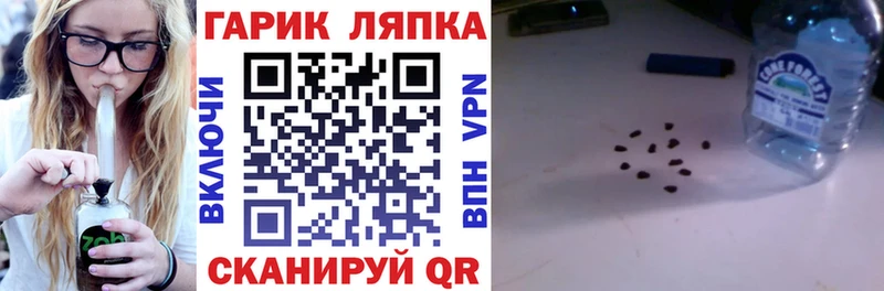 Купить  Костерёво  ГАШ Изолятор 