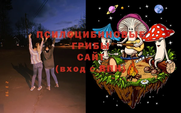 2c-b Карталы