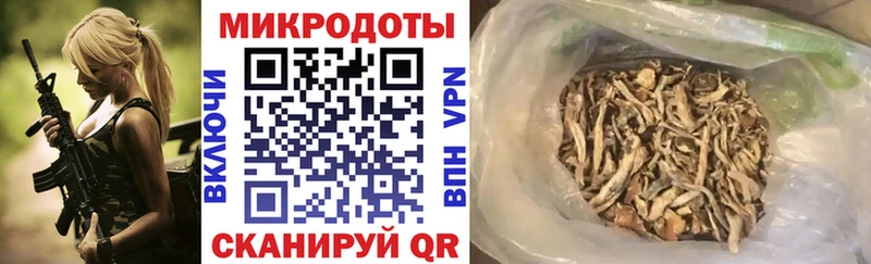Купить закладки  Костерёво  Галлюциногенные грибы Magic Shrooms 